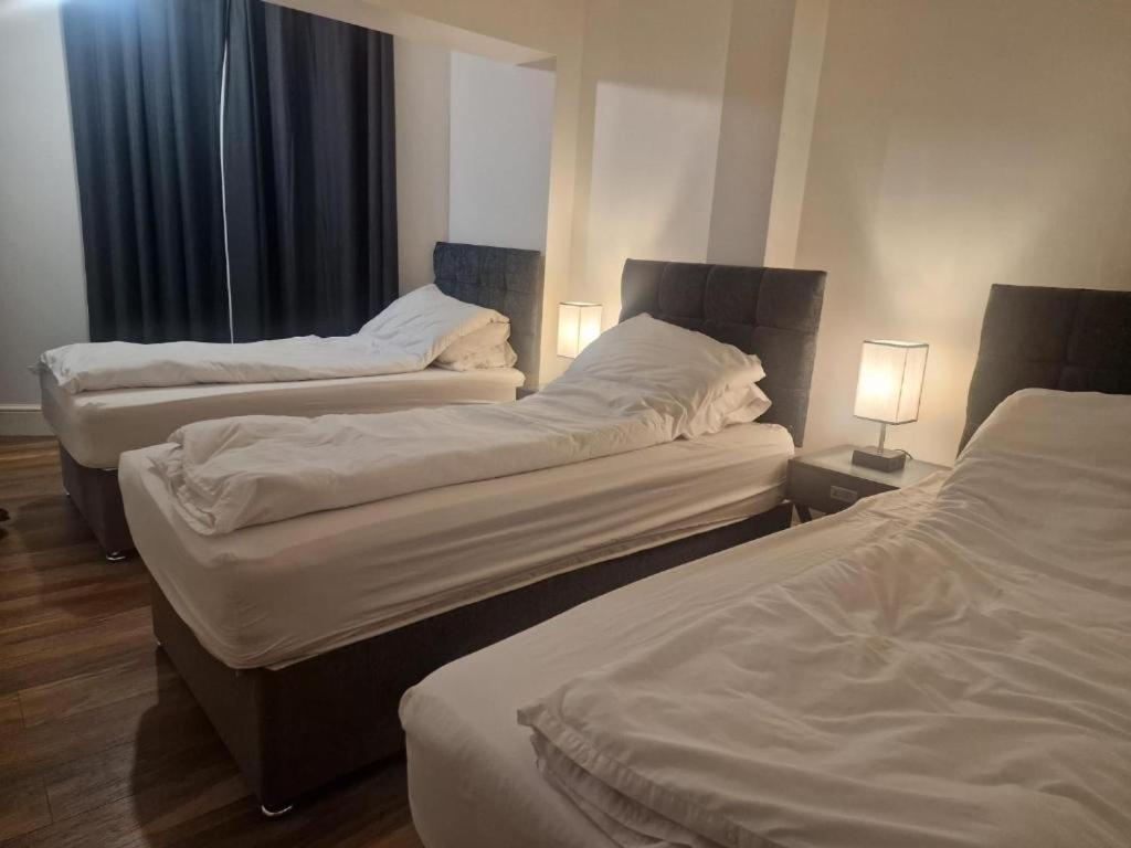 Central Suite, 3 Single Beds Bristol Kültér fotó